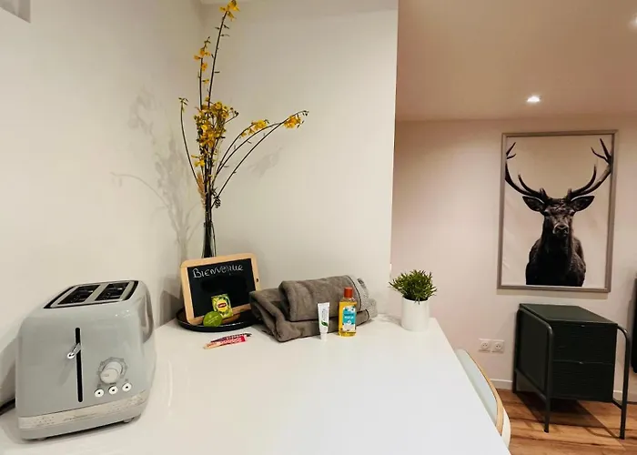 Le Charme Normand En Centre Апартаменты *